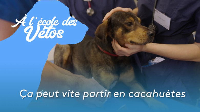 Still image for A l'école des vétos season 1 episode 9: Episode 9