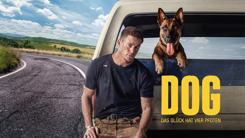 Dog (2022)