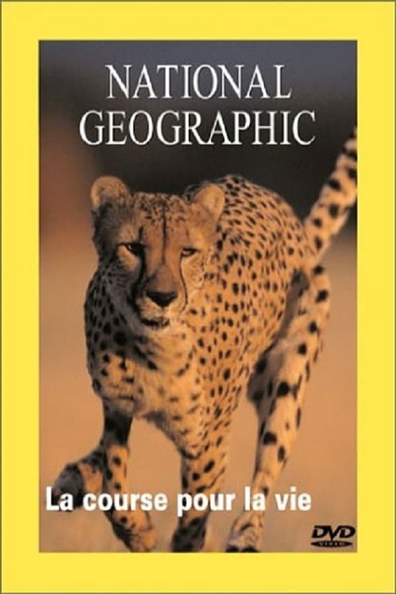 Imatge de Cheetahs: The Deadly Race