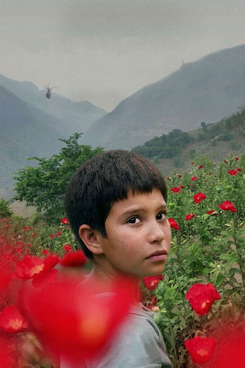 Imatge de Noche de fuego