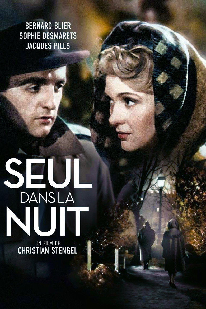 Affiche de SEUL DANS LA NUIT
