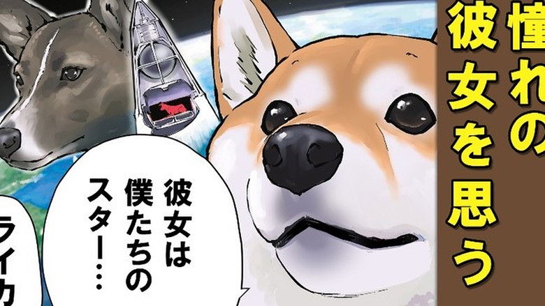 Still image for Doomsday with My Dog season 1 episode 55: A Certain Dog`s Long Journey Still image for Doomsday with My Dog season 1 episode 55: A Certain Dog`s Long Journey