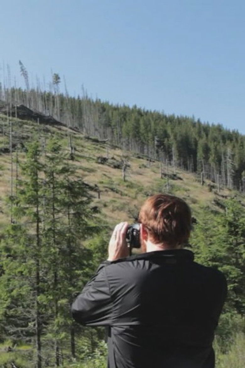 Imatge de Wood - Der geraubte Wald