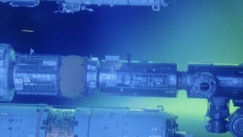 9vmhieupiihl0qzmqebvh66zja9