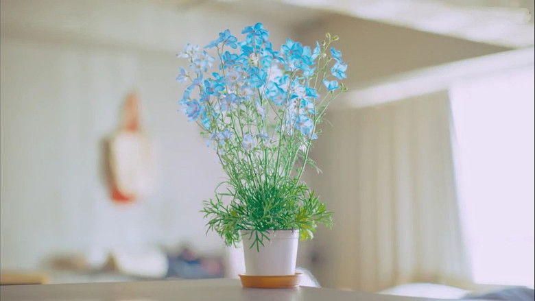 The Proper Way to Write Love backdrop 11