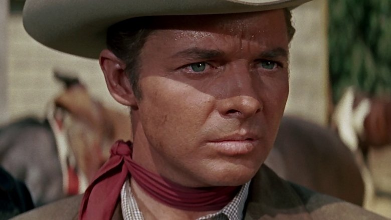 Gallery image from 9Vrdf953MFf7CSjc8VBIsDqY4iL.jpg