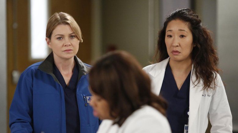Greys Anatomy Episode 9 Saison 12 Grey's Anatomy Saison 9 épisode 12 Streaming | SOKROFLIX