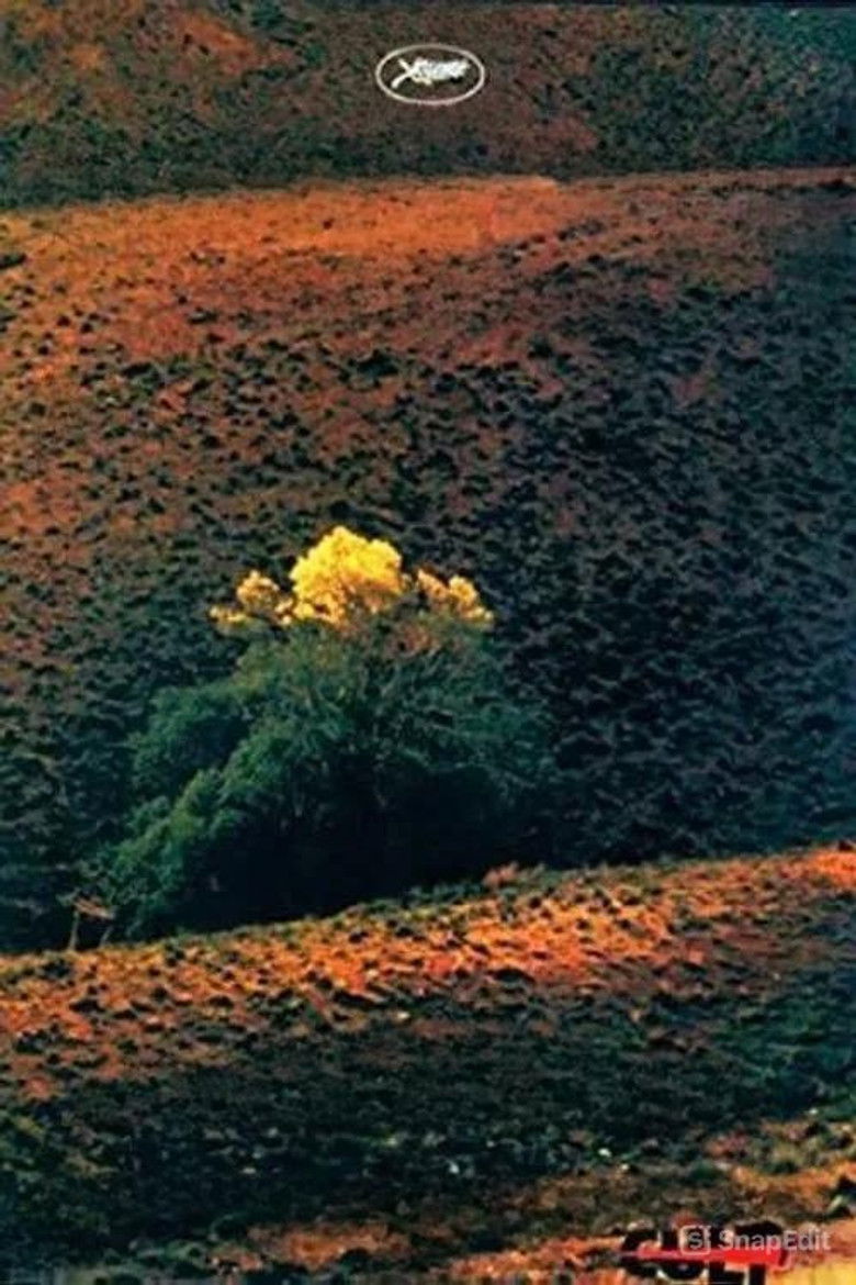 Imatge de طعم گيلاس