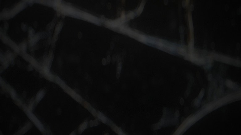 Reiteration backdrop
