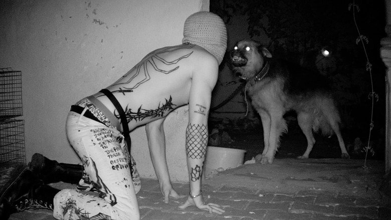 Imatge de Black Knights of Tunis