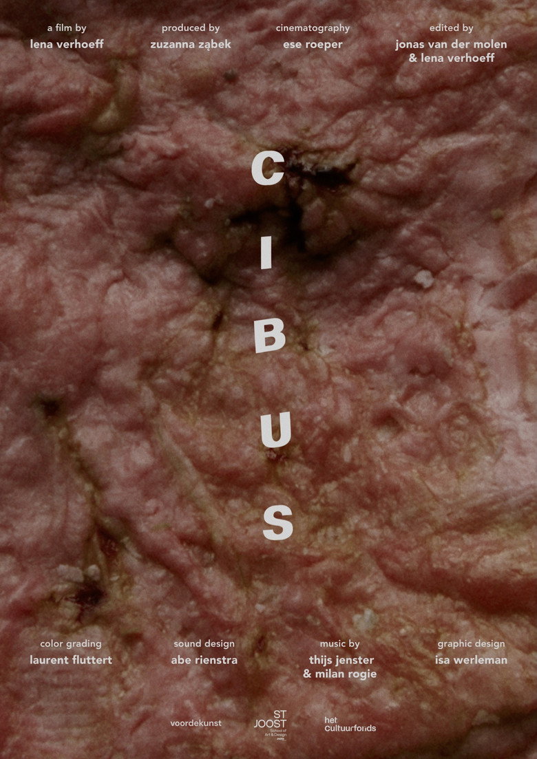 Imatge de Cibus