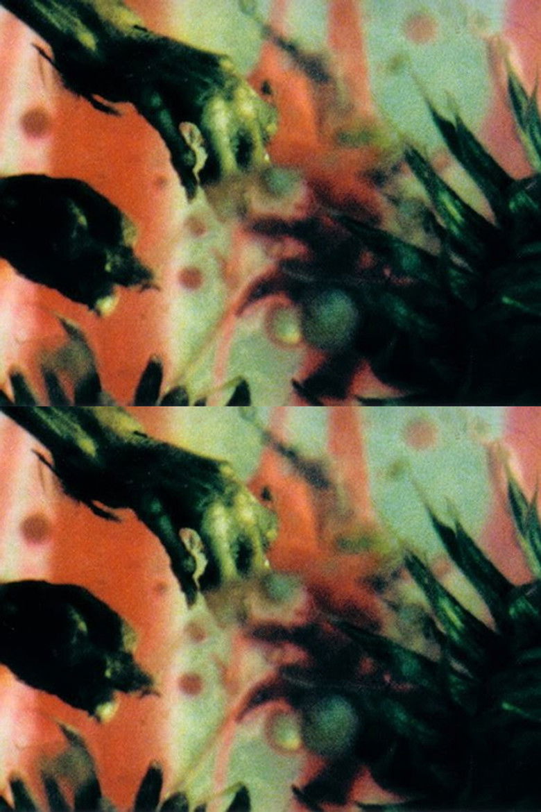 Imatge de A Darkness Swallowed