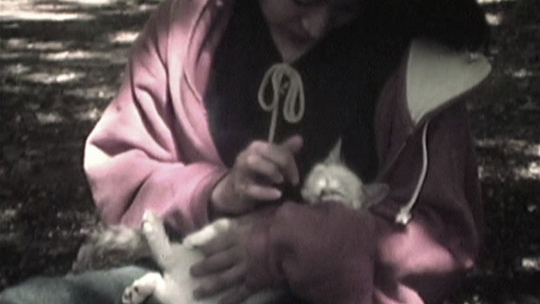 Gallery image from 9XxepHsP8y0Fg8aS1MqIdotWt5D.jpg