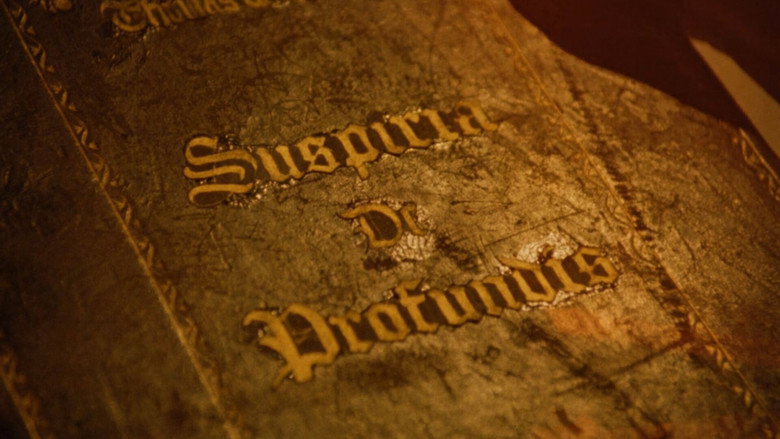 The Black Cat image 8