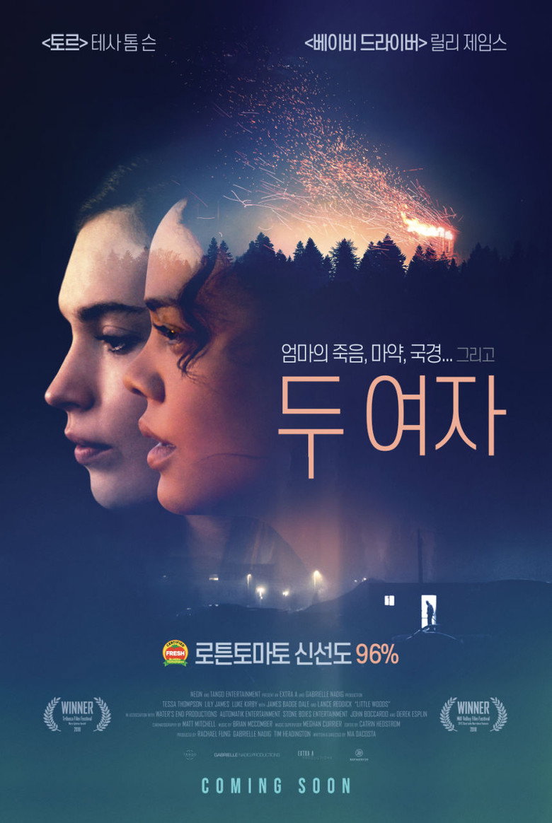 두 여자(Little Woods) poster