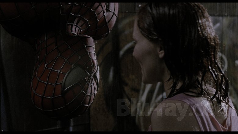 25 Best Spider Man Movie Memes For The Memes Spidey Memes