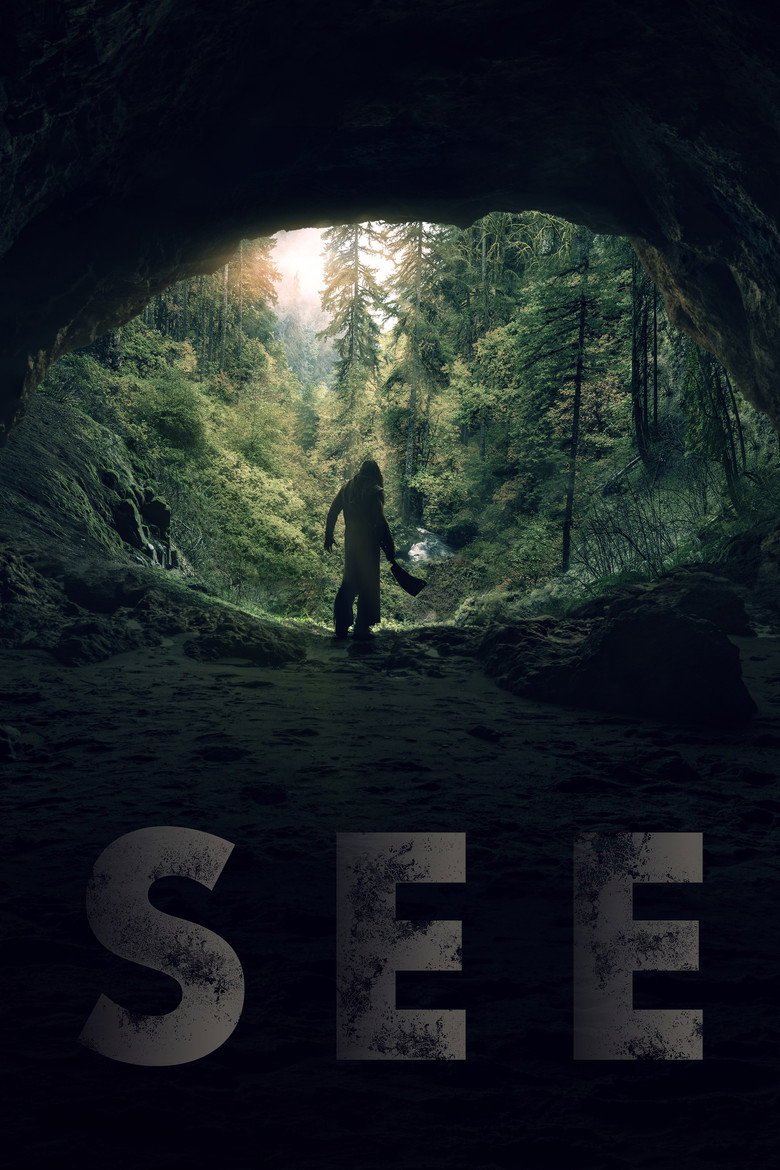 Póster la Serie