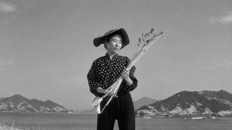 벌거벗은 섬