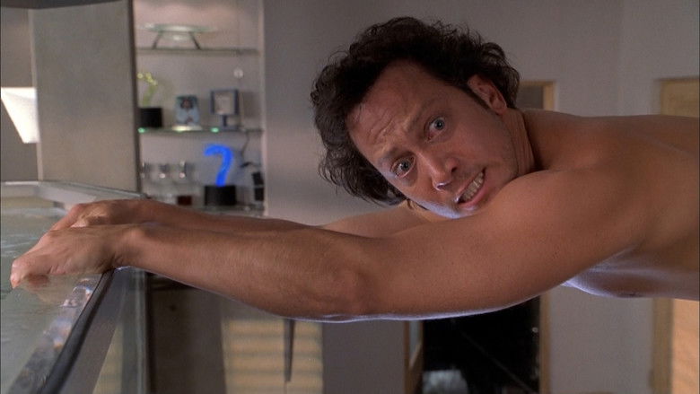 Backdrop de Deuce Bigalow Collection