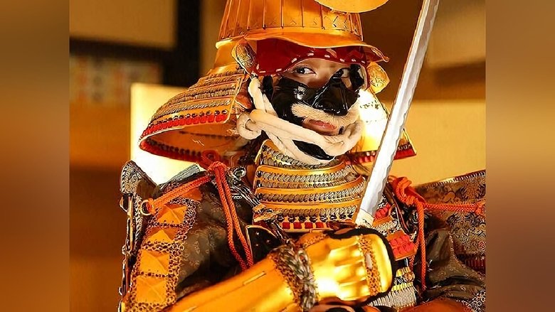 Still image for Yoroi Bijo season 1 episode 10: Episode 10