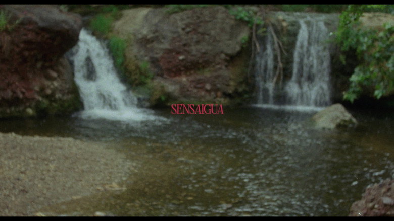 Imatge de Sensaigua