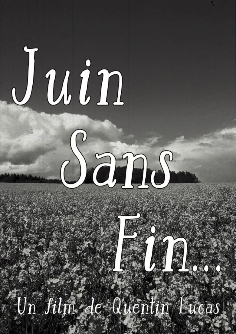 Juin sans fin... poster