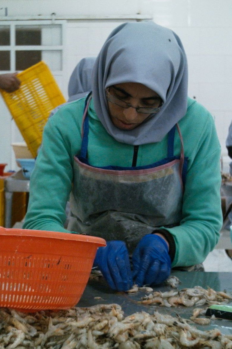 Imatge de میزان