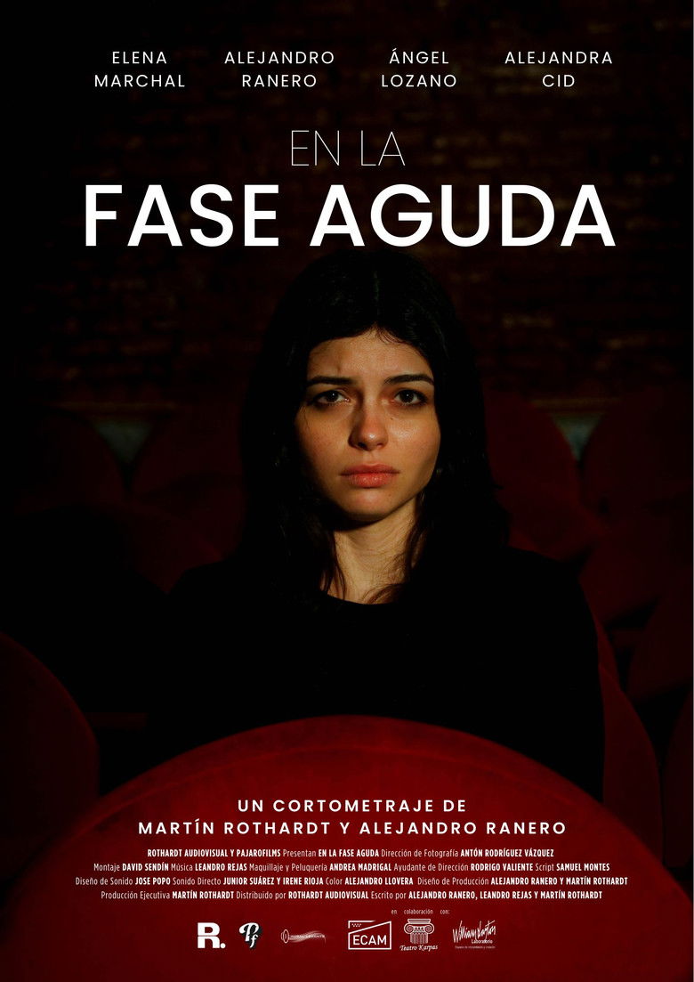 Imatge de En la Fase Aguda