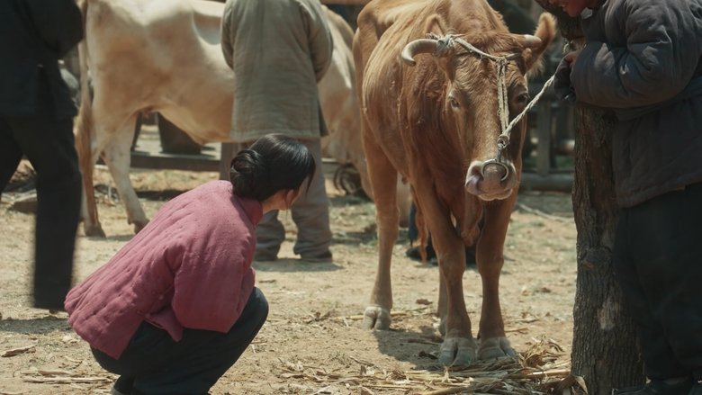 Still image for This Thriving Land season 1 episode 10: Episode 10 Still image for This Thriving Land season 1 episode 10: Episode 10