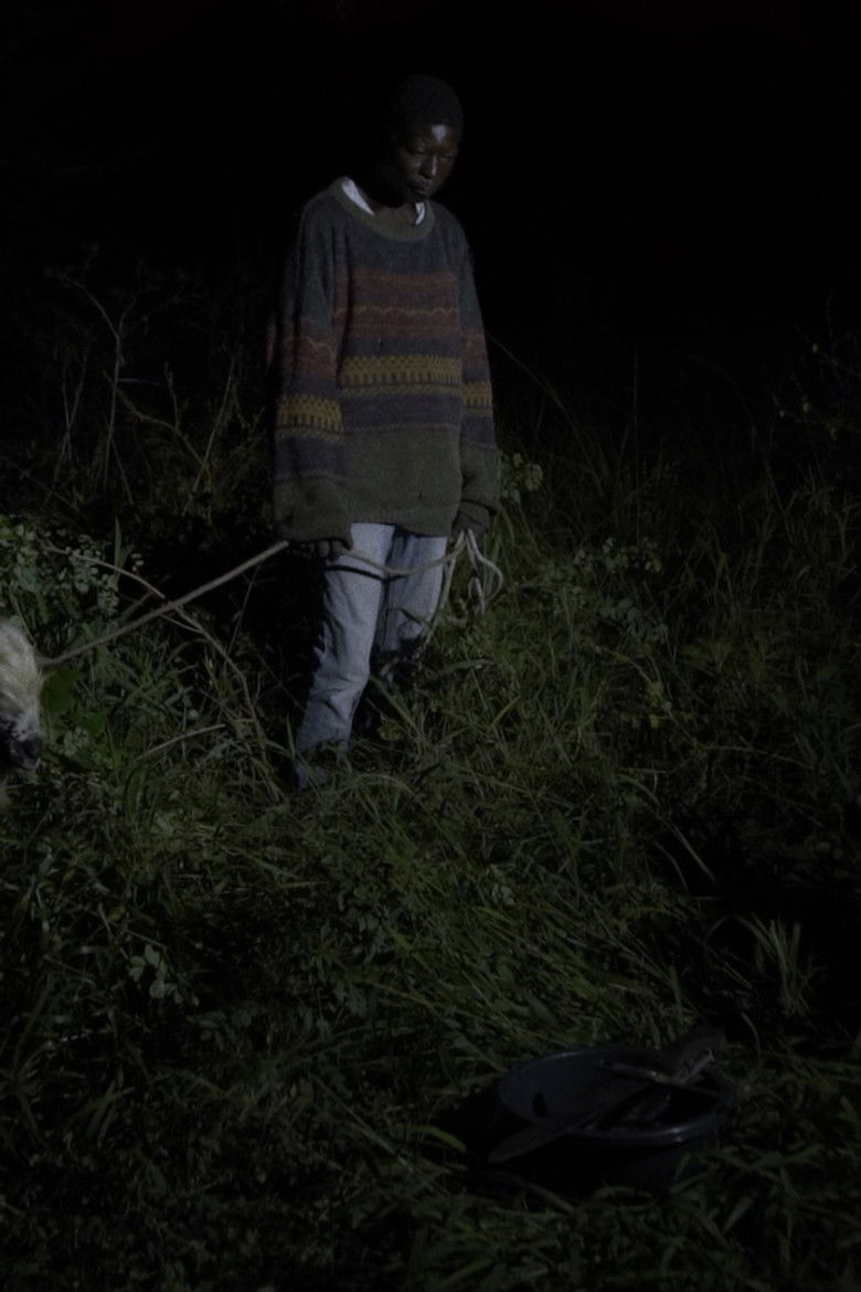 Imatge de As noites ainda cheiram á pôlvora