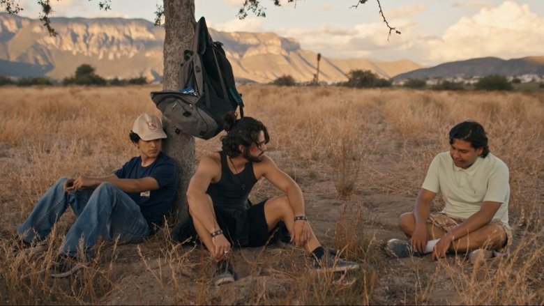 Una Historia de Ovejas y Luciérnagas (2025)