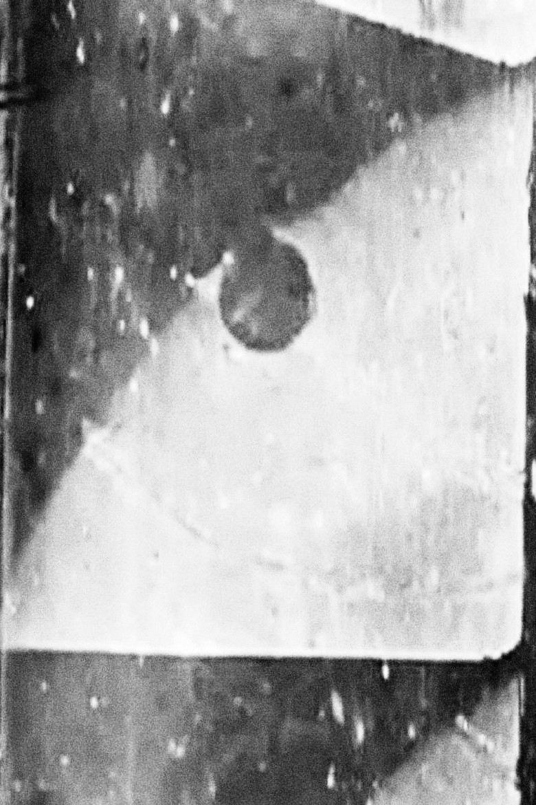 Imatge de Passage de Venus