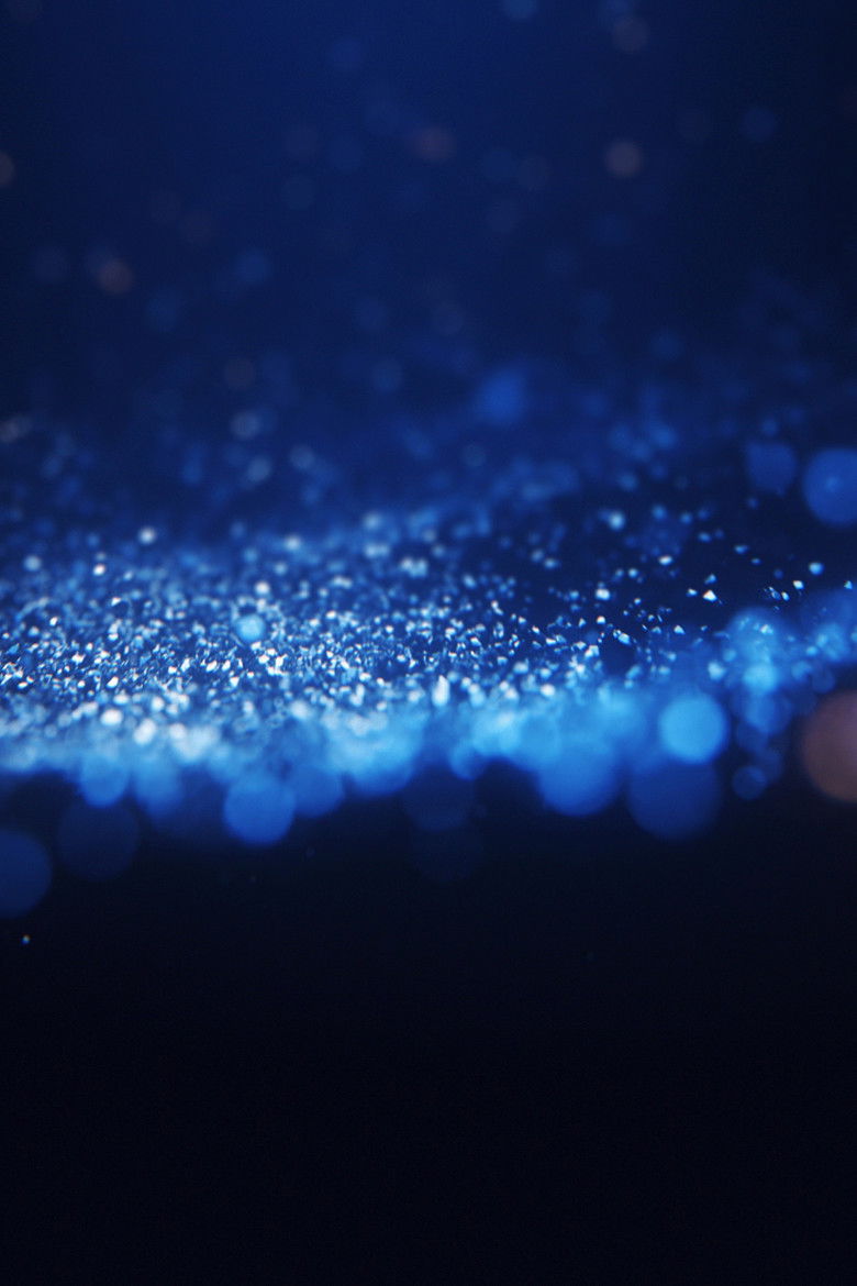 Imatge de Show 60 Anos