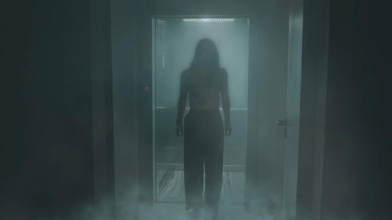 Gallery image from 9cROA703UmKaUOq52HY6ekADHT4.jpg