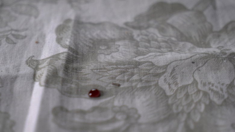 Gallery image from 9dsjP0JMeGuBzeQD51gbla3l1VL.jpg