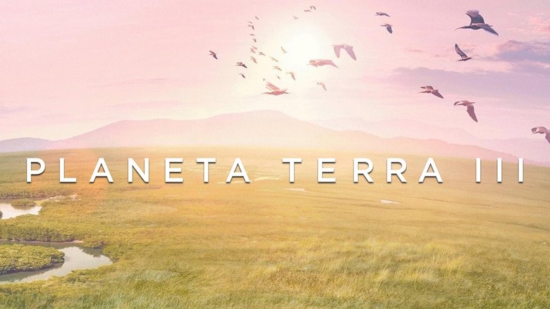 Gallery image from 9eOkW0y2gTIWDwFISkdaT84qIdV.jpg