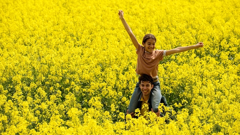 Regarder Les enfants du Platzspitz complet