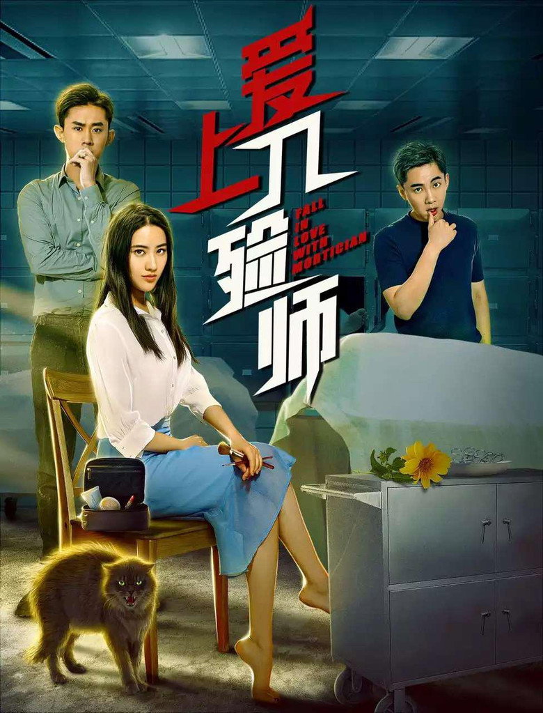 爱上入殓师 封面海报