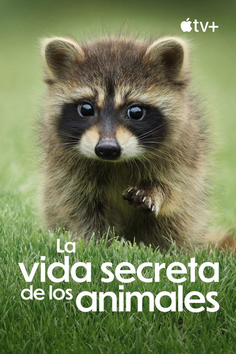 Póster la Serie