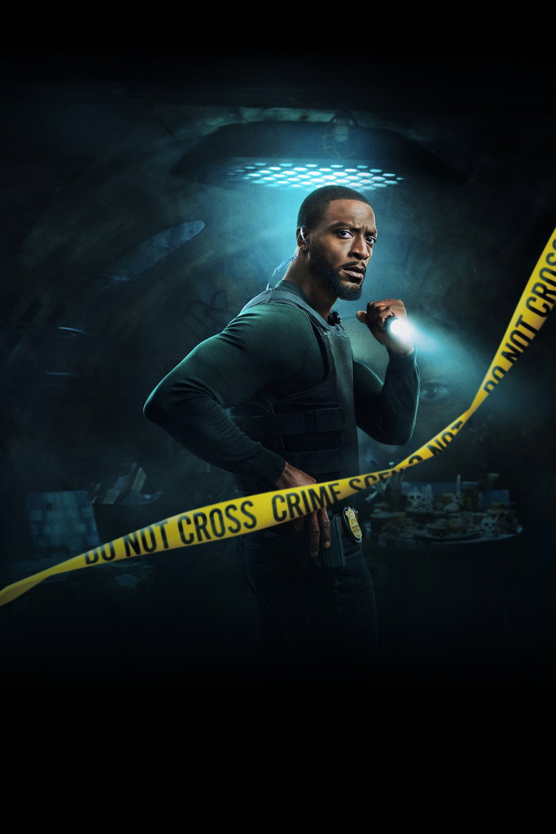 Póster la Serie