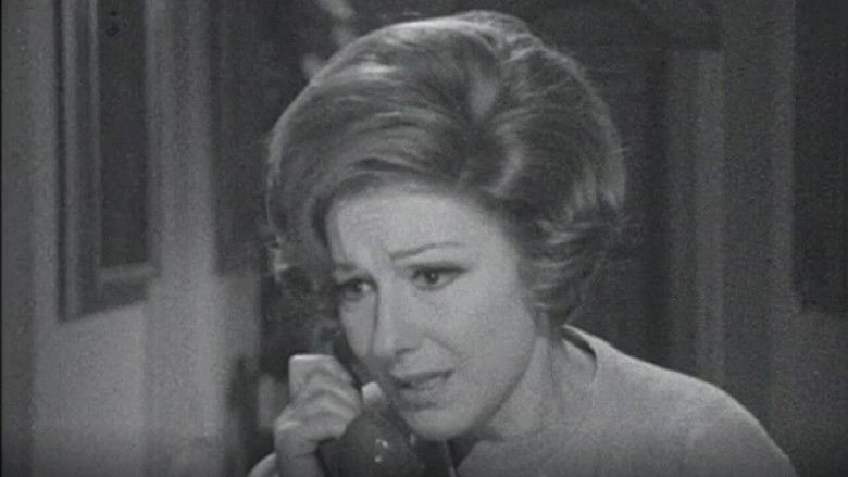 Still image for La Famiglia Benvenuti season 1 episode 3: Episode 3 Still image for La Famiglia Benvenuti season 1 episode 3: Episode 3