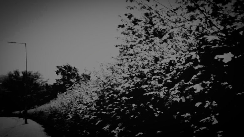 Backdrop 2