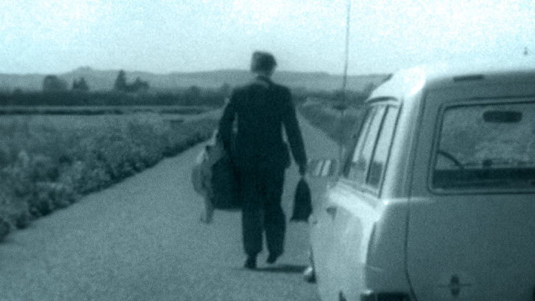 Gallery image from 9hMNhNrf1PDupze0snjBOWQAZRd.jpg