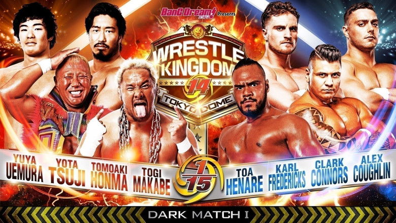 Image d'arrière-plan 11 du film NJPW Wrestle Kingdom 14: Night 1