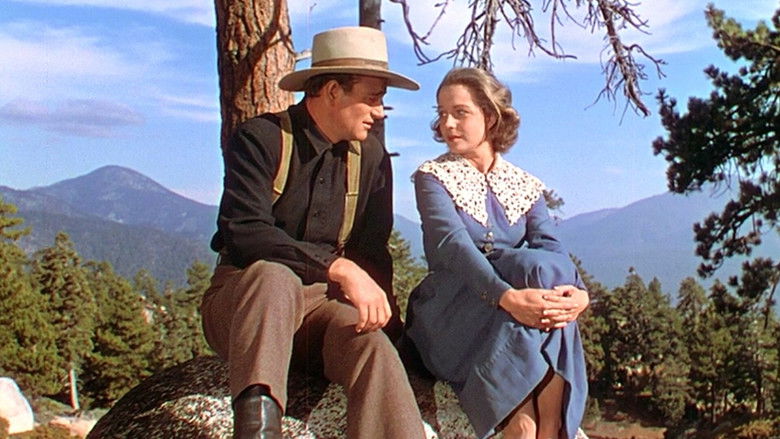 Gallery image from 9i8eg7MrViGpQ0zjhX4XVHdtOUU.jpg