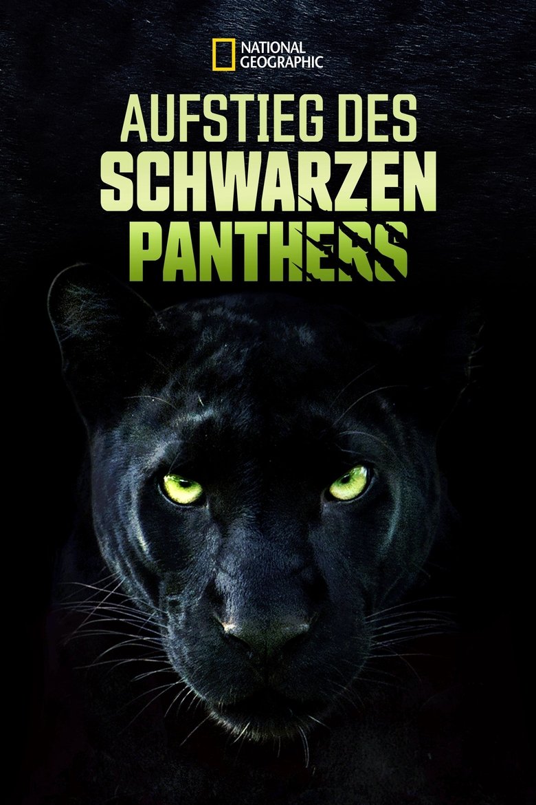 The Real Black Panther poster