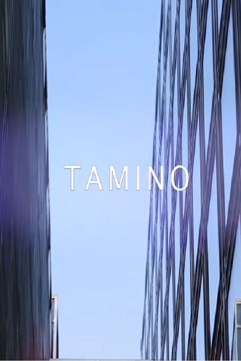 Imatge de Tamino - live @ Les Concerts Volants