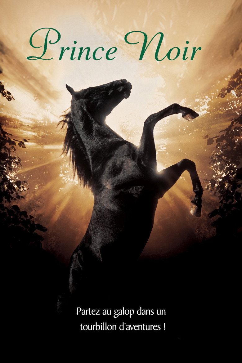 Affiche de PRINCE NOIR