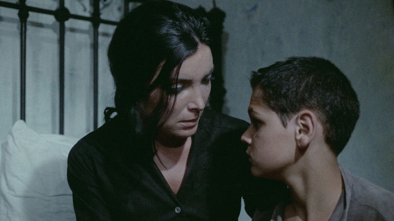 Imatge de Viva la muerte