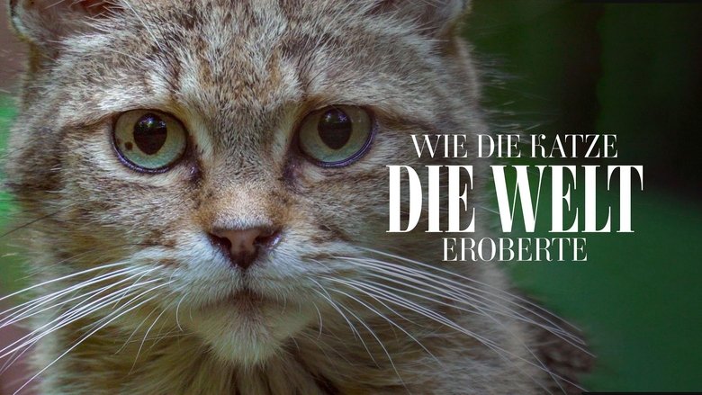 Comment le chat a conquis le monde (2020)